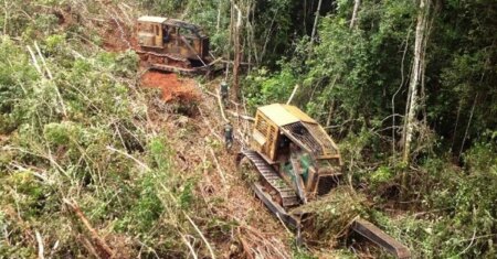 Levantamento revela que apenas 1% das multas ambientais são pagas em MT | Mato Grosso