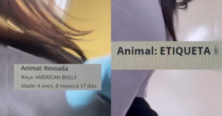 Veterinária viraliza ao mostrar nomes inusitados de pacientes; assista