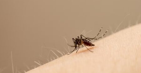 Número de casos de doenças transmitidas pelo Aedes aegypti aumenta em Várzea Grande (MT) | Mato Grosso