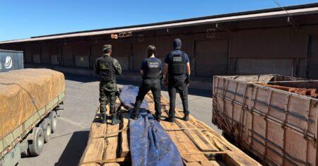 Cocaína em madeira: operação na fronteira faz a maior apreensão do país, segundo estimativa da Receita