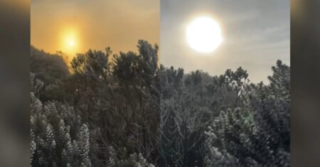 Frio intenso congela nevoeiro em SC em raro evento climático