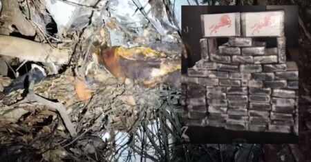 Avião com cocaína e dois corpos em decomposição pode ter caído há cerca de 60 dias em zona rural de MT