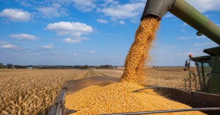 Plano Safra 2026/2027 amplia preocupação do agro com redução do crédito e reforça dependência do mercado privado