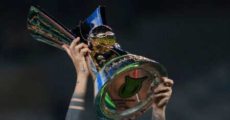Brasileirão: Veja chances de título, rebaixamento e ida à Libertadores