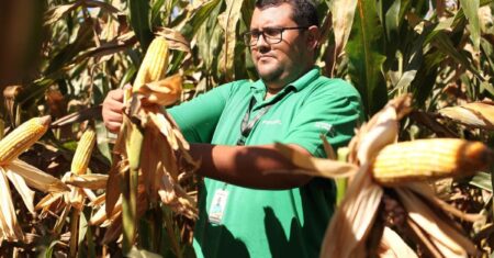 Manejo outonal ajuda a reduzir plantas daninhas e aumentar o potencial produtivo da próxima safra