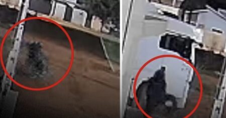 Vídeo mostra pistoleiros de capacete invadindo casa para executar jovem em MT