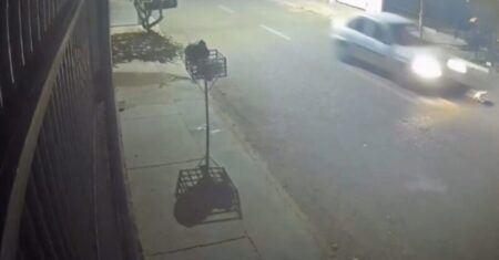 Motorista joga carro contra gato e vídeo causa revolta em Rondonópolis; assista