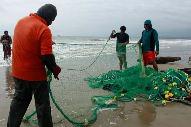 Aquecimento das águas pelo El Niño reduz captura de peixes e ameaça pescadores na América Latina