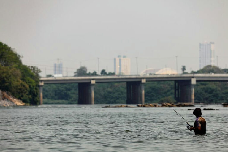 Pescadores e comerciantes têm prazo final para declarar estoque de peixes em Mato Grosso