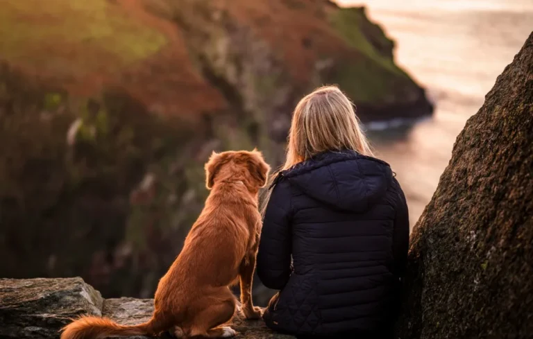 Ter um cachorro pode ser a chave para uma vida mais longa e saudável