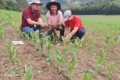 Análise de solo garante economia para produtores e alta produtividade no campo