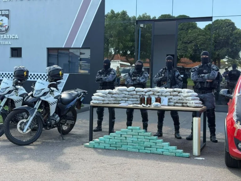 Apreensão de drogas em Pontes e Lacerda resulta em prejuízo milionário para o crime