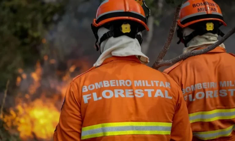 Bombeiros combatem incêndios florestais em três municípios de Mato Grosso