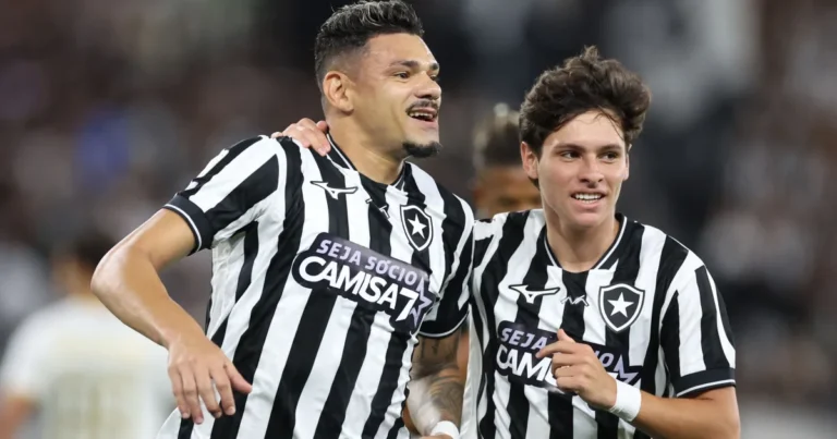 Botafogo vence a chapecoense pelo brasileirão com gol de tiquinho