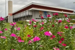 Centro de Eventos do Pantanal preserva refúgio de biodiversidade em Cuiabá