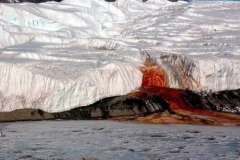 Cientistas desvendam ecossistema ancestral sob as águas avermelhadas da Antártida