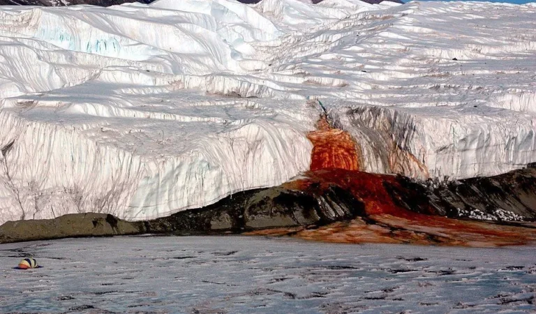 Cientistas desvendam ecossistema ancestral sob as águas avermelhadas da Antártida