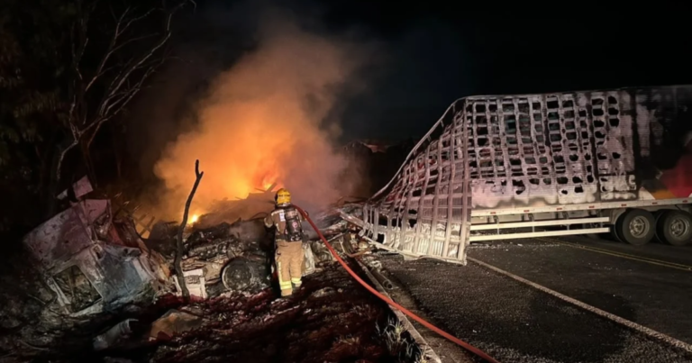 Colisão frontal entre duas carretas resulta em incêndio e morte no Norte de Minas Gerais
