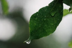 El Niño ganha força e dita ritmo do clima no Brasil até o fim de 2026