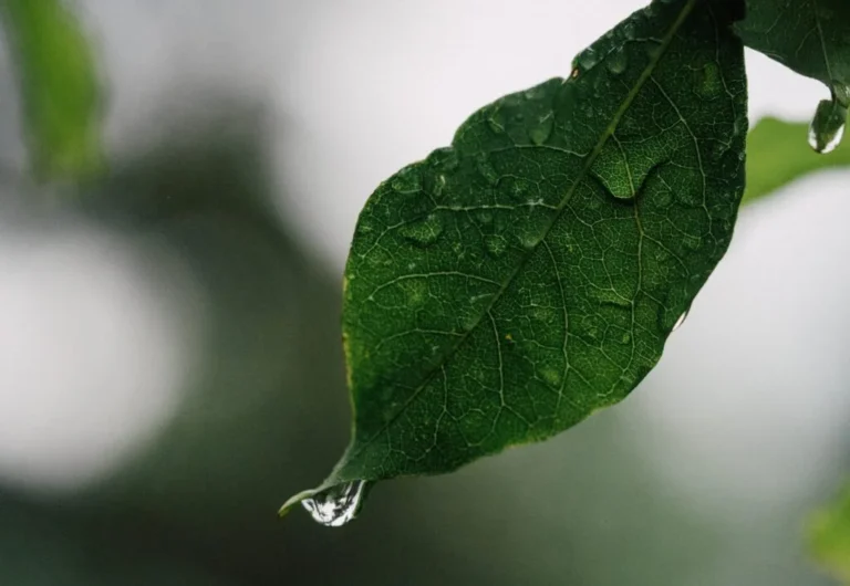 El Niño ganha força e dita ritmo do clima no Brasil até o fim de 2026