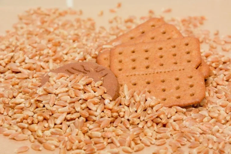 Embrapa testa cereal inovador que substitui trigo na indústria de biscoitos