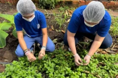 Estudantes em Mato Grosso transformam tradições do Cerrado em ciência