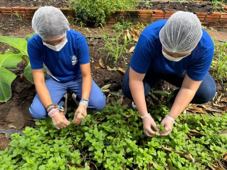 Estudantes em Mato Grosso transformam tradições do Cerrado em ciência