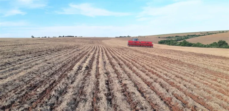 Evitar prejuízos na colheita depende da manutenção preventiva do maquinário agrícola