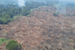 Governo federal destina verba e reforça ações contra incêndios no Amazonas