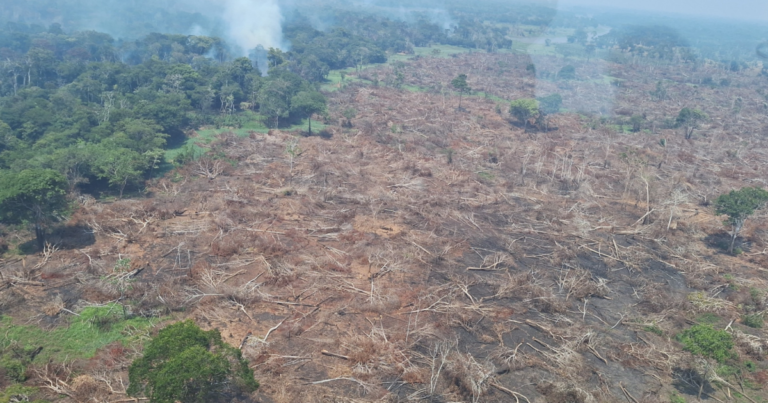 Governo federal destina verba e reforça ações contra incêndios no Amazonas