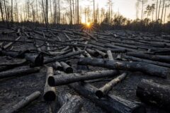 Impasse entre nações paralisa novo raio-X do clima antes de decisões vitais