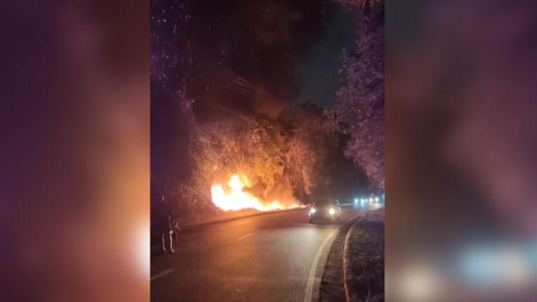 Incêndios no Amazonas disparam e geram embate político entre oposição e governo