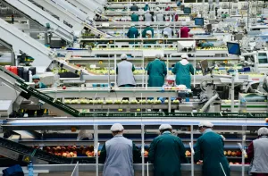 Indústria brasileira registra maior queda em três anos e meio sob impacto de demanda fraca