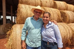 Integração entre lavoura e pecuária transforma fazenda em mato grosso