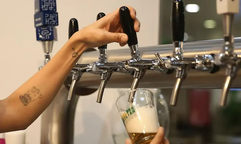 Lei Seca nas eleições 2026: veja como funciona a restrição de bebidas nos estados