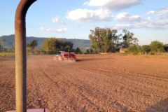 Plantio de arroz alcança 33,2% no país, mas chuvas intensas freiam campo no Sul