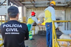 Polícia Civil destrói mais de duzentos quilos de drogas apreendidas em Alto Araguaia