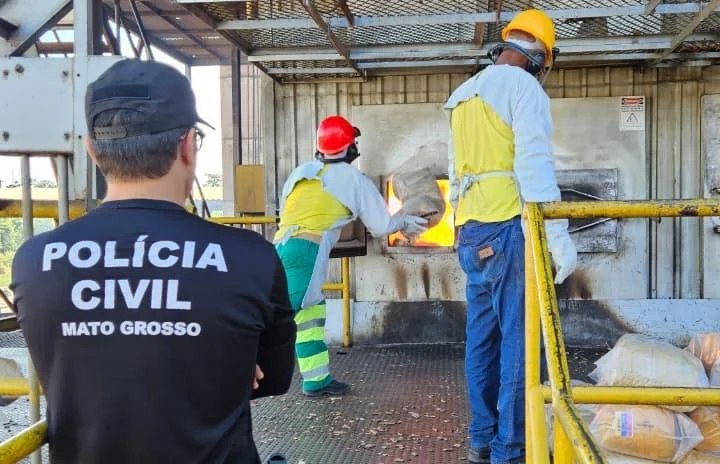 Polícia Civil destrói mais de duzentos quilos de drogas apreendidas em Alto Araguaia
