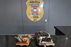 Polícia Civil prende suspeito e recupera módulos de caminhão após fuga e acidente em Mato Grosso