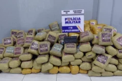 Polícia Militar apreende 202 kg de skunk ocultos em carga de milho em Alto Araguaia