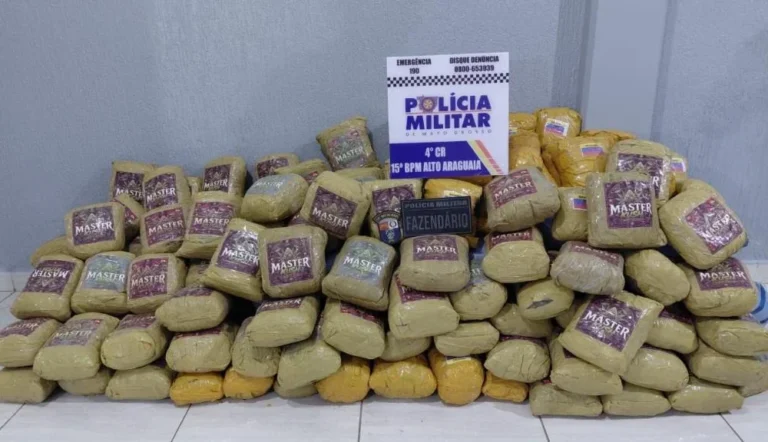 Polícia Militar apreende 202 kg de skunk ocultos em carga de milho em Alto Araguaia