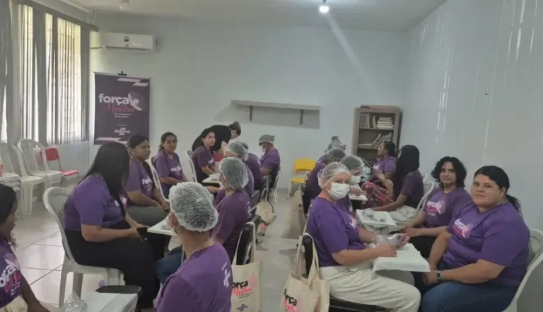 Projeto Força Mulher capacita empreendedoras em Campo Novo do Parecis