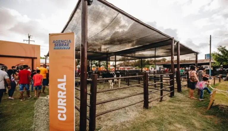 Queijos artesanais de Mato Grosso ganham visibilidade em exposição nacional no Rio Grande do Norte