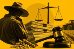 Recuperação judicial no agronegócio cai 20,7% e interrompe sequência de altas