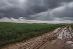 Santa Helena e região acumulam alerta de 112 mm de chuva em 24h