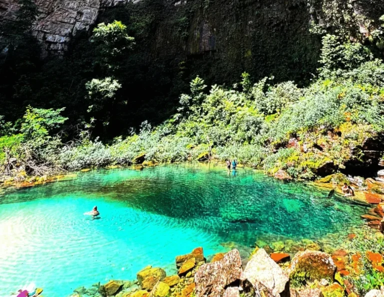 Santuário das Araras: a descoberta acidental que revelou um tesouro natural em Mato Grosso