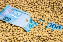 STF decide que cobrança do funrural anterior a 2018 é inconstitucional
