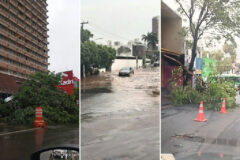 Temporal causa alagamentos e queda de árvores em Cuiabá e Várzea Grande