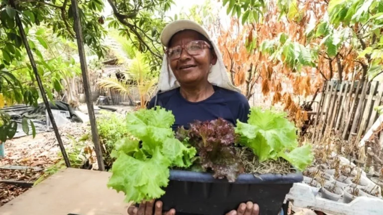 Universidade promove o evento Amazônia Delas com foco em inovação e protagonismo feminino
