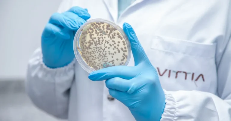 Vittia aprova subvenção milionária para projeto de bioinsumos na pecuária